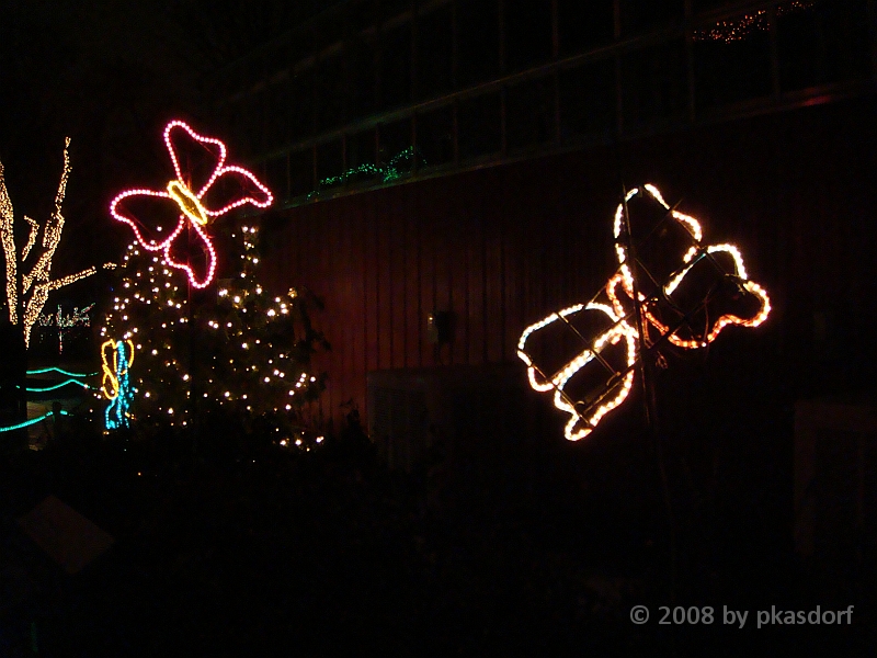 091 Toledo Zoo Light Show [2008 Dec 27].JPG - Scenes from the Toledo Zoo Light Show.